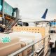 pet-cargo-murah-bandung