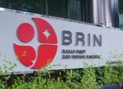 Pengumuman CPNS BRIN 2024: Formasi dan Syarat Daftarnya