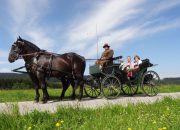 Sejarah dan Alasan Mengapa Posisi Setir Mobil di Indonesia Ada di Kanan 
