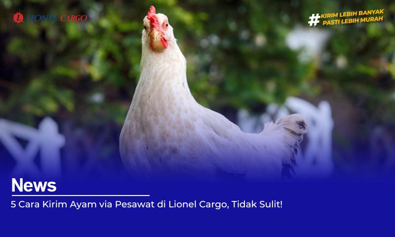 5-cara-kirim-ayam-via-pesawat-di-lionel-cargo,-tidak-sulit!