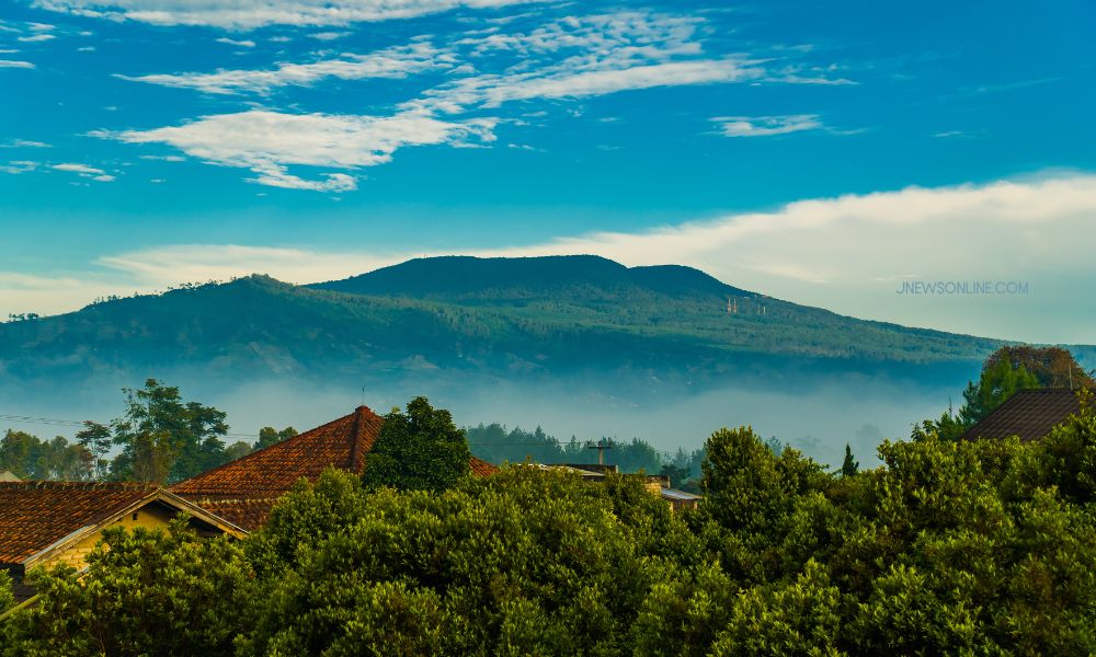 gunung-tangkuban-perahu:-menjelajahi-flora-dan-fauna-uniknya