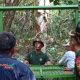 bksda-pasang-perangkap-harimau-dengan-daging-sapi-sisaan