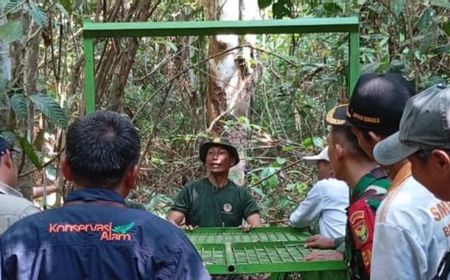 bksda-pasang-perangkap-harimau-dengan-daging-sapi-sisaan