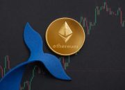 Whale Ethereum Transfer 15.000 ETH ke Kraken