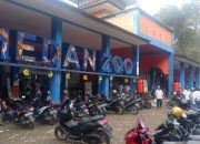 Medan Zoo Milik Siapa & Kenapa Sering Jadi Sorotan? Cek Faktanya