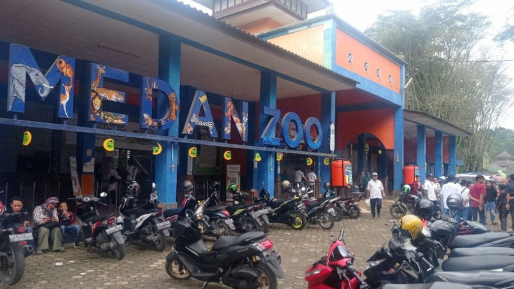 medan-zoo-milik-siapa-&-kenapa-sering-jadi-sorotan?-cek-faktanya