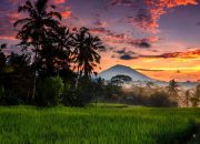 Panduan Wisatawan untuk Menjelajahi Kebun Raya Gianyar