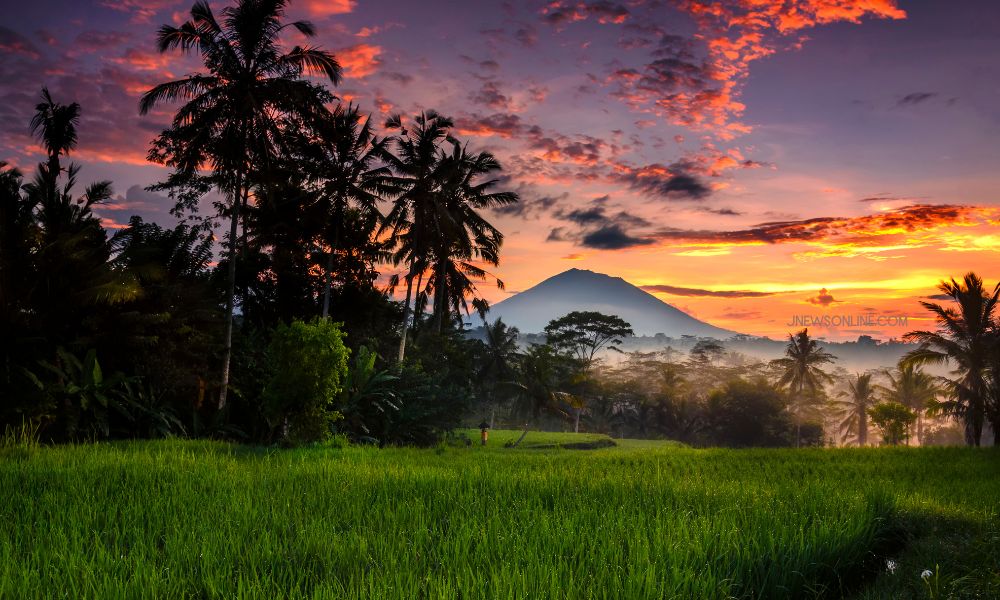 panduan-wisatawan-untuk-menjelajahi-kebun-raya-gianyar