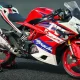 makin-sangar-dapat-winglet-baru!-rilis-tvs-apache-rr-310-model-2024