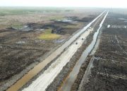Dukung Program Ketahanan Pangan, Jhonlin Group Bangun Jalan 16,8 Km di Merauke