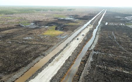 dukung-program-ketahanan-pangan,-jhonlin-group-bangun-jalan-16,8-km-di-merauke