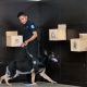10-ras-anjing-pelacak-yang-bisa-bantu-penyelidikan-polisi