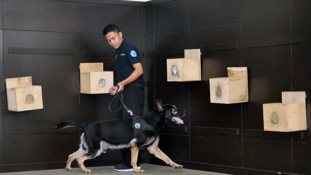 10-ras-anjing-pelacak-yang-bisa-bantu-penyelidikan-polisi