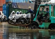 Penjualan Motor Nasional hingga Agustus 2024 Naik 3,1 Persen