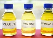 Mesin Diesel Euro 4 Masih Aman Tenggak Bio Solar?