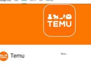 Kenapa Aplikasi Temu Bisa Mengancam UMKM? Ini Alasannya