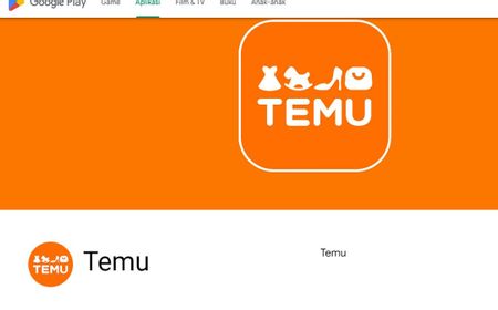 kenapa-aplikasi-temu-bisa-mengancam-umkm?-ini-alasannya