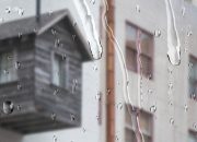 9 Tips Agar Pindahan Rumah Lancar Saat Musim Hujan